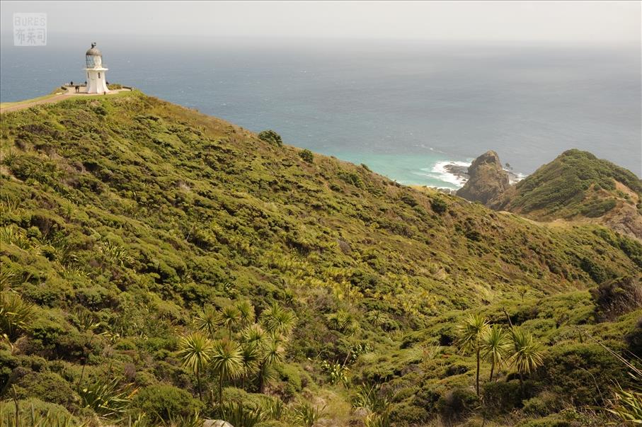 Cape Reinga